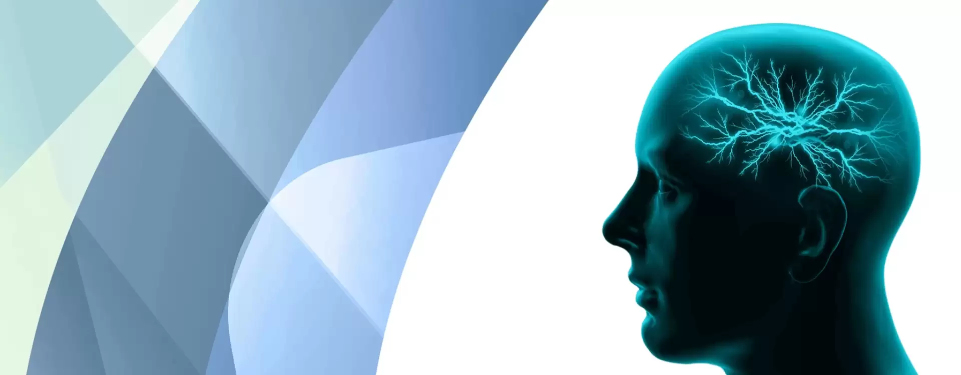 Ani İşitme Kaybı Tinnitus İlişkisi