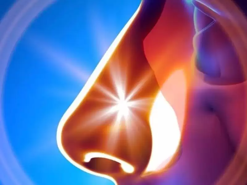 burun-tikanikliklari