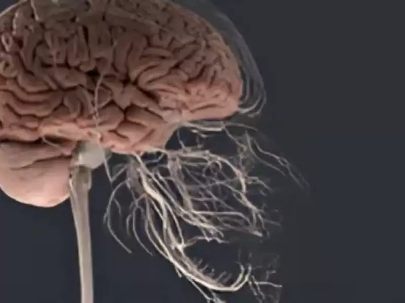 cene-eklemi-hastaliklari-tme-tinnitus-iliskisi