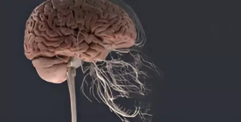 cene-eklemi-hastaliklari-tme-tinnitus-iliskisi