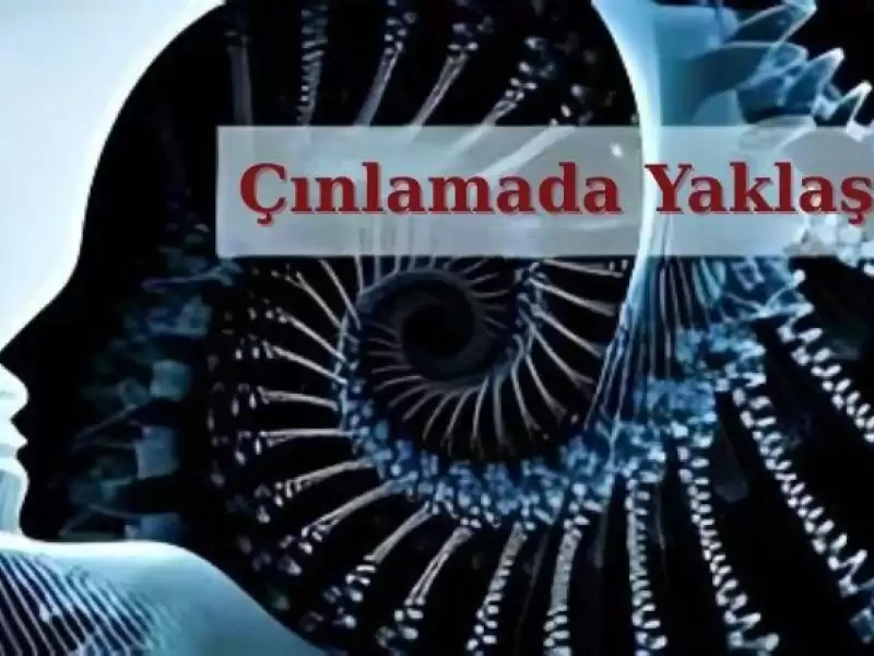 cinlamaya-yaklasimimiz-ve-tedavi-prensiplerimiz
