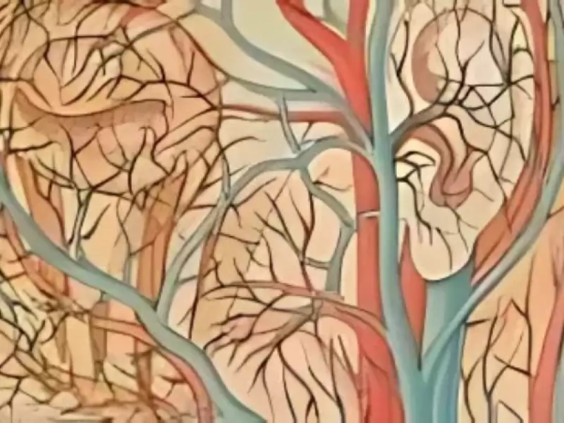 damarsal-bozukluklar-ve-tinnitus-iliskisi