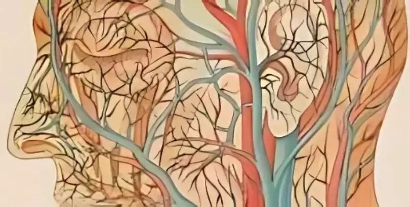 damarsal-bozukluklar-ve-tinnitus-iliskisi