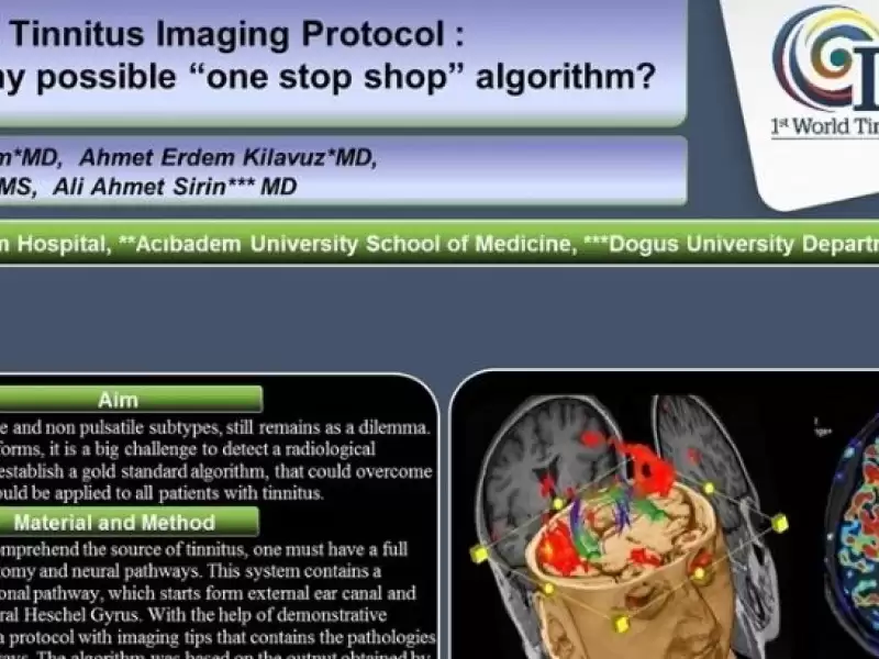 dunya-tinnitus-kongresinde-sundugumuz-yayinlarimiz