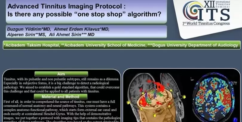 dunya-tinnitus-kongresinde-sundugumuz-yayinlarimiz