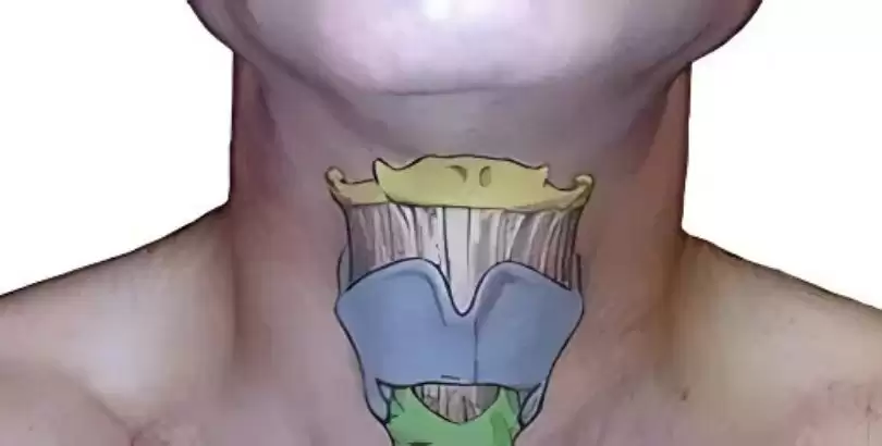 girtlak-kanserinde-konusma-fonksiyonunun-saglanmasi