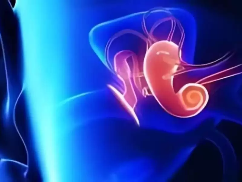 kulak-zari-delinmeleri-tedavi-ve-ameliyati