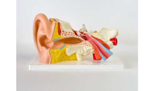 ostaki-kanal-balon-tuboplasti