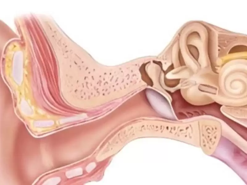 ostaki-kanal-fonksiyon-bozukluklari