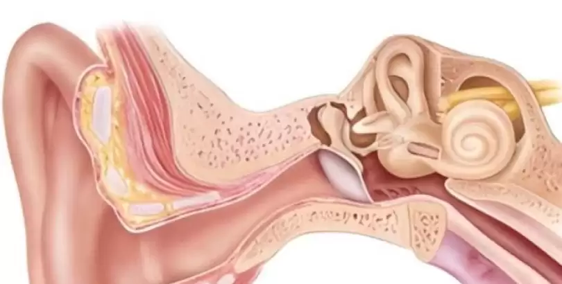 ostaki-kanal-fonksiyon-bozukluklari