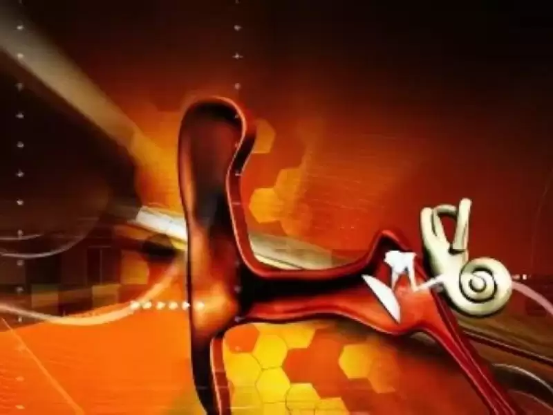 otoimmun-ic-kulak-hastaliklari-tinnitus-iliskisi