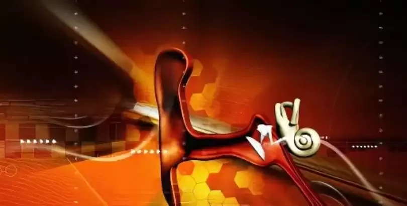 otoimmun-ic-kulak-hastaliklari-tinnitus-iliskisi