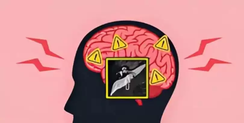 vaskuler-loop-tinnitus-iliskisi