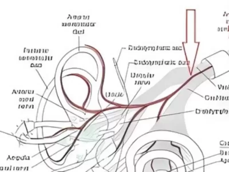 vestibuler-paroksismi