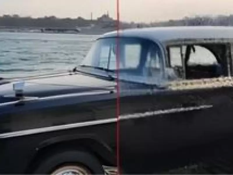 visual-snow-ve-tinnitus