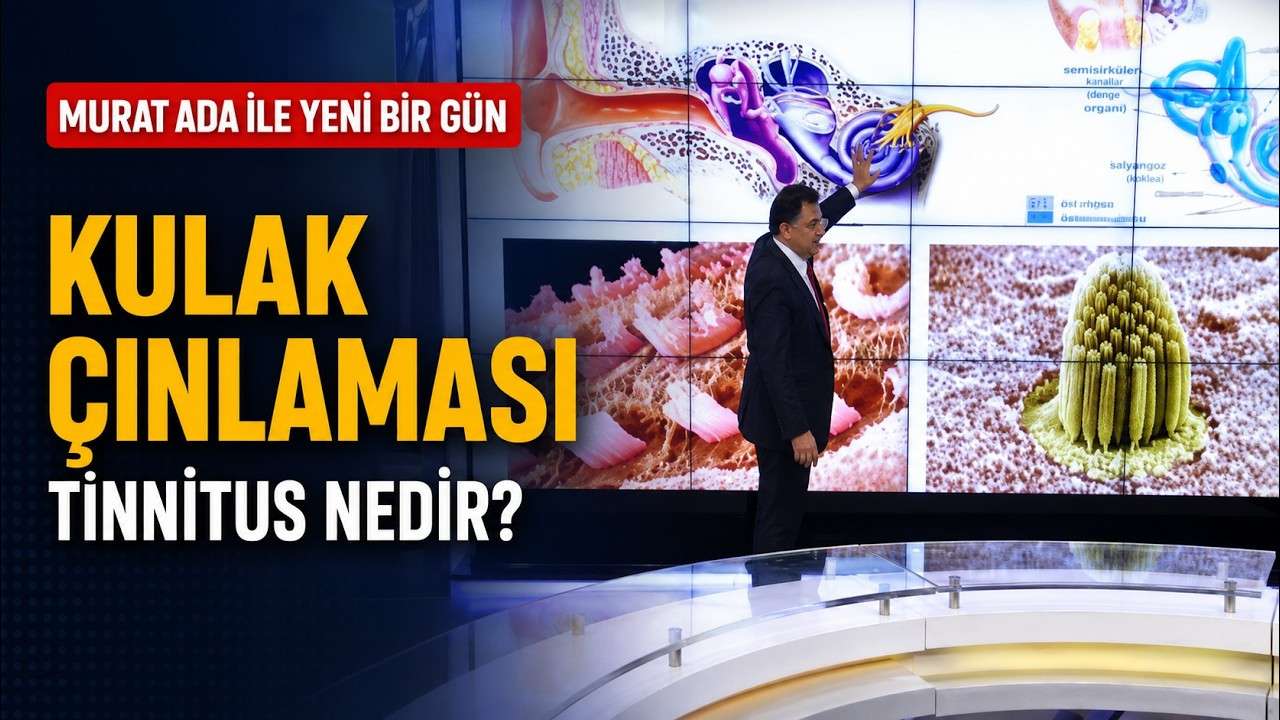 kulak çınlaması,tinnitus,tinitus,tinnitus nedir,kulak çınlaması nedir,kulakta uğultu,kulakta ses,kulak çınlaması nedenleri,tinnitus neden olur,tinnitus testi,tinnitometri,işitme kaybı,yüksek frekans odyometri,pulsatil tinnitus,nabız sesi,tek